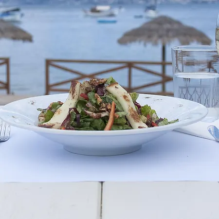 Almira Mare Hotel Chalkís